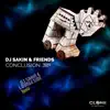 DJ Sakin & Friends - Conclusion 2019 (DJ Sakin & Loungeside Remix) - Single